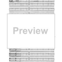 Birds In Light - Full Score