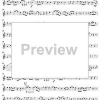 Horn Concerto No. 4 in E-flat Major, K495 - Horn