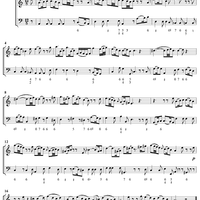 Oboe Sonata in A Minor - from "Der Getreue Music-Meister"