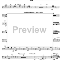 Divertimento - Bassoon