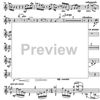 Trio Capriccioso - Vibraphone