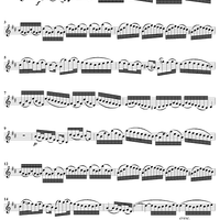 "Christi Glieder, ach, bedenket", Aria, No. 5 from Cantata No. 132: "Bereitet die Wege, bereitet die Bahn" - Violin