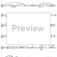 Springtime Festival - Piccolo