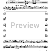 The Frog and the Golden Ball - Flute