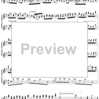 La Source, Act 2, No. 18c: Divertissement - Variation