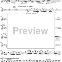 Sonata No. 2 for Flute, Viola and Harp - Flute