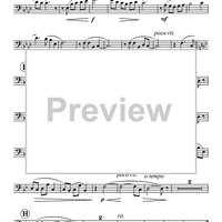 How Beautiful - Tuba