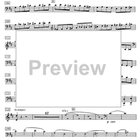 Concerto D Major - Cello