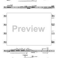 Mvt. 1 from Concerto in B-flat, K. 191 - Bassoon or Euphonium Solo