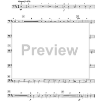 Gaelic Castle - Double Bass