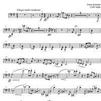 String Quartet No.15 G Major D887 - Cello