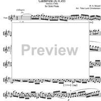 Cadenzas Concertos KV313, 314 and 299