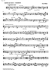 Quartetto No. 3 Romantico - Viola
