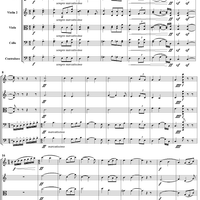 Serenade for String Orchestra in C major (C-dur). Movement I, Pezzo in forma di sonatina - Score