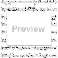 Violin Concerto No. 1 - Violin