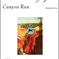 Canyon Run
