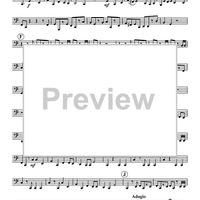 Sonatina in D Major, D 384 - Op. post. 137, 1 - Tuba
