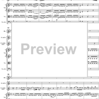 Horn Concerto No. 4 in E-flat Major, K495