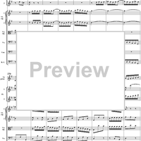 Brandenburg Concerto No. 4: Allegro - Score