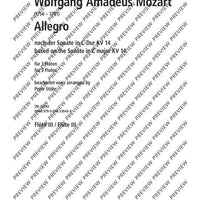 Allegro based on the sonata C major - Score and Parts