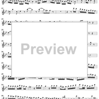 Sonata No. 3 in G major - Flute