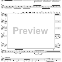 String Sextet No. 2 - Violin 1