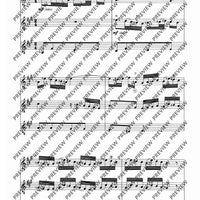 Zwölf Cassationsstücke - Performing Score