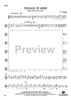 Passage of Arms - Flute