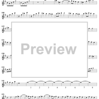 Concerto in E Minor for Recorder and Flute