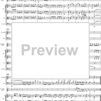 Horn Concerto No. 3 in E-flat Major, K447