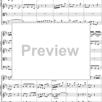 Sinfonia in B minor - No.1 from Cantata No. 209 - BWV209