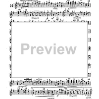 Mandolin & Guitar Collection No. 22 - Banjo Solo