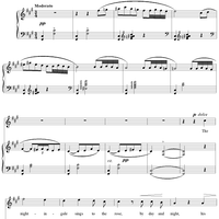 The Nightingale and the Rose