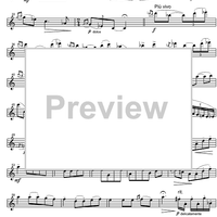 A Summer-Fantasy - Score