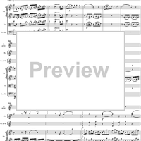 Flute Concerto No. 1 in G Major K285c (K313) - Full Score