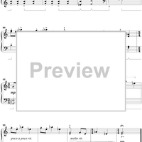 Harry's Wondrous World