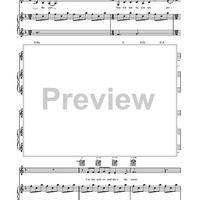 Bright Lights and Cityscapes