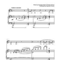 Nessun Dorma (from Turandot)