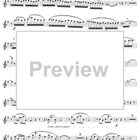 Sonata ("Undine"), op. 167 - Flute