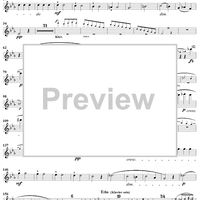 Quintet in C Minor - Flute