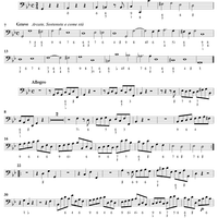 Concerto Grosso No. 8 in G Minor, Op. 6, "Christmas Concerto" - Continuo