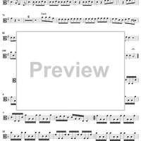 Flute Concerto in G Major, Op. 10, No. 6 - Viola