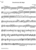 Divertimento Bb Major KV254 - Violin