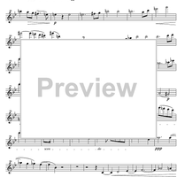 String Quintet G Major - Violin 1