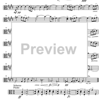 String Quintet C Major D956 - Viola