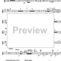 Divertimento - Flute/Piccolo