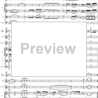 Andante in C Major K285e (K315) - Full Score