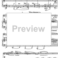 Zimske igre (Winter games) - Score