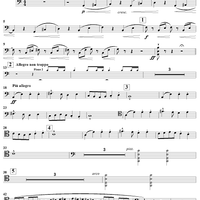 Le carnaval des animaux - Cello