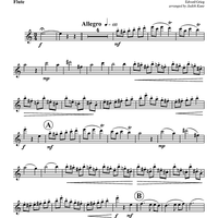 Anitra's Dance - Flute